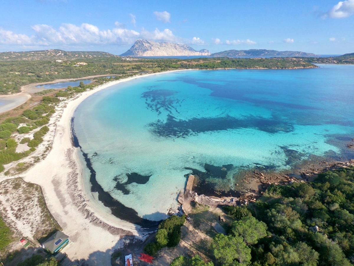Iss Travel, Gli Asfodeli - Large Apartments With Private Terrace San Teodoro  Exterior foto