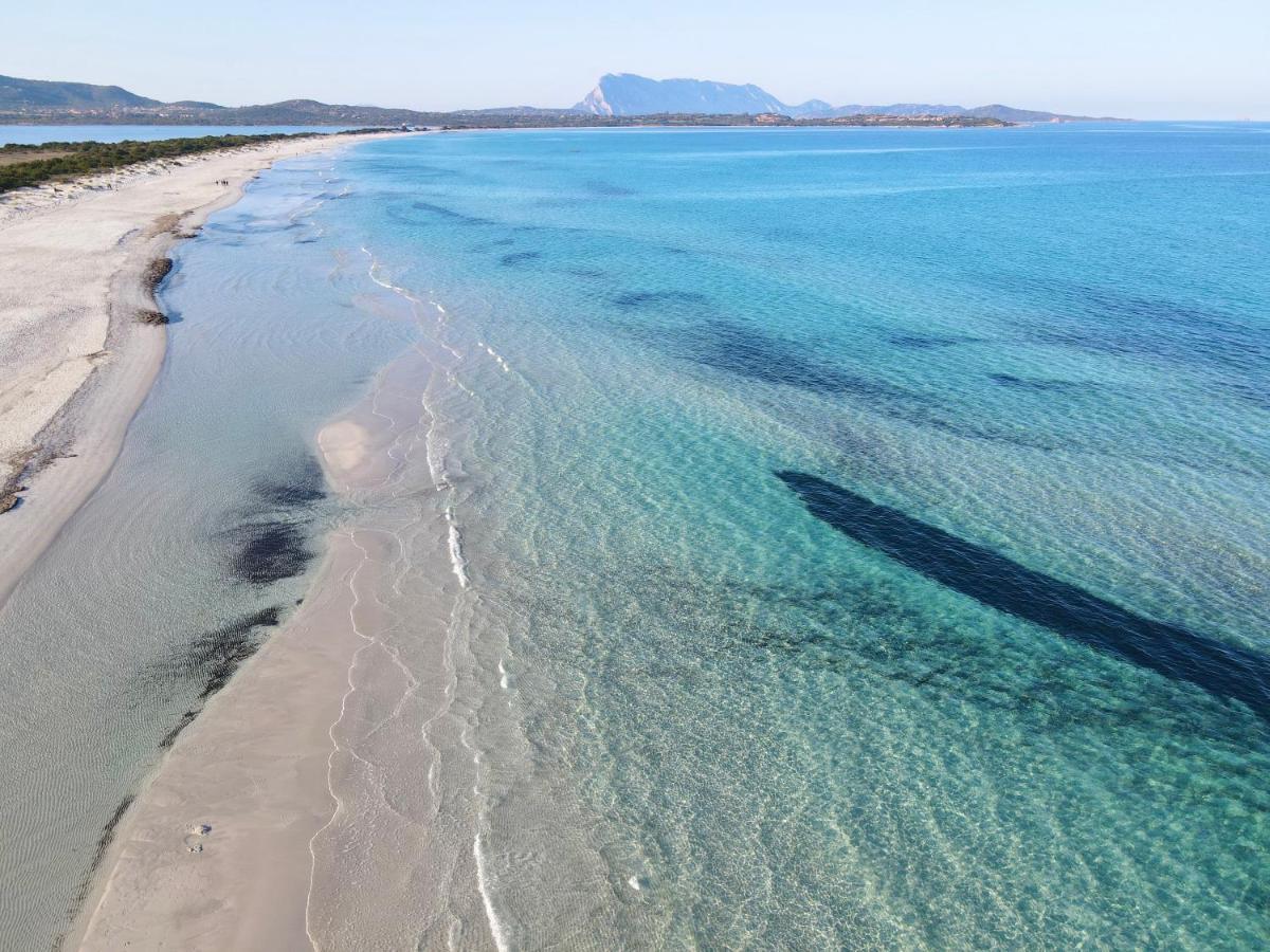 Iss Travel, Gli Asfodeli - Large Apartments With Private Terrace San Teodoro  Exterior foto